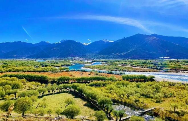 唯一旅游上市公司雅鲁藏布江旅游经营主体j9九游会真人第一品牌深度调研：西藏(图7)